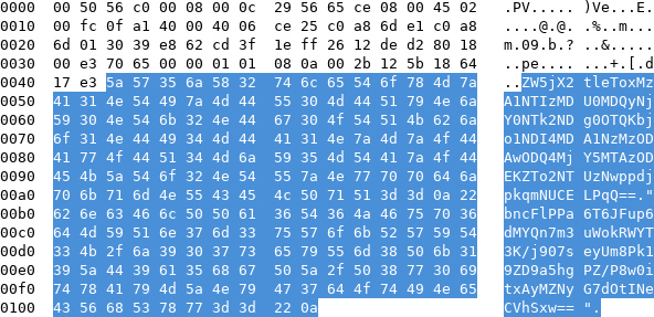 Base64 blob in a packet